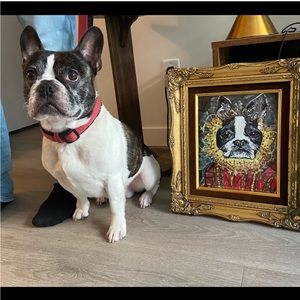 PET PAINTING PORTRAITS〰️